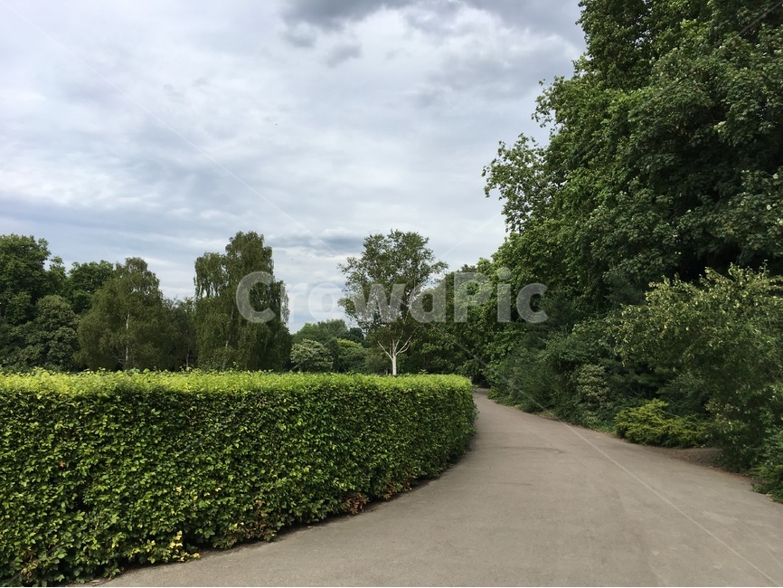 흐림,공원,풀,환경,자연,나무,park,자연,풍경,nature,landscape,해외,외국,세계,foreign,oversea,world,세계자연풍경,해외자연풍경,외국자연풍경,world nature landscape