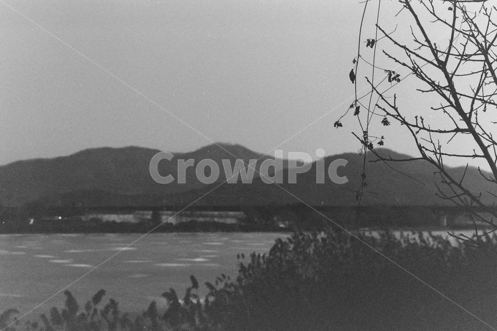 흑백,겨울,강,자연,산,나무,흑백,모노톤,monochrome,black and white