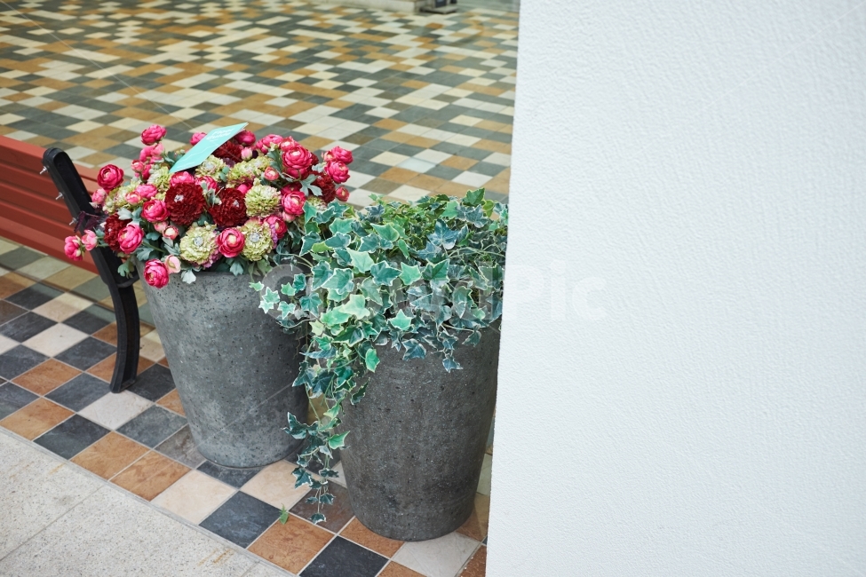 꽃,빨간,화분,텍스쳐,백그라운드,타일,기둥,흰색,자연,식물,자연,plants,nature,꽃,flower
