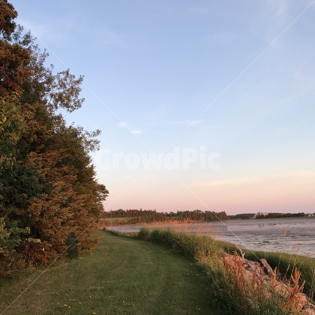 강가,하늘,자연,나무,갈대,riverside,sky,nature,trees,reed,가을,계절,fall,autumn,season,자연,풍경,nature,landscape