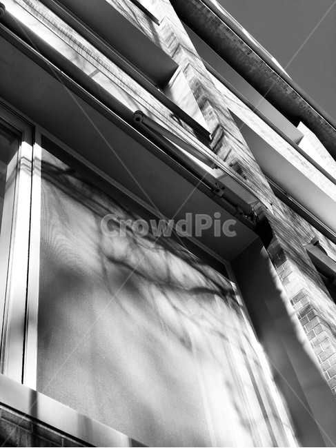 흑백,빛,햇빛,오후,창문,흑백,모노톤,monochrome,black and white,건축물,건물외관,exterior,building,structure,architecture,construction