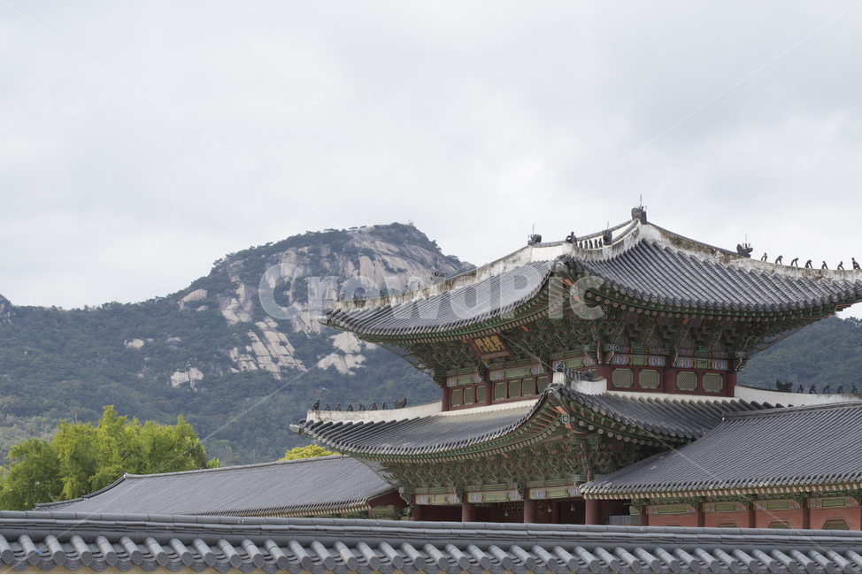 경복궁,광화문,기와,전통,한국적,처마,궁궐,고궁,문화재