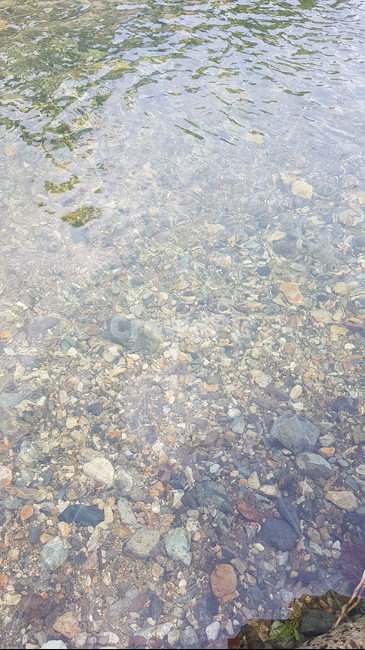 여름,계곡,물,시원함,돌,summer,water,valley