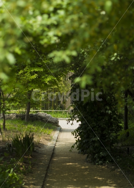 자연,길,나무,선유도공원,푸른,하늘,공원,휴식,나뭇잎,잎,녹색,풍경,사진숲,nature,tree,trees,park,blue,sky,emo,landscape,way,green,photography,자연,풍경,nature,landscape,여름,계절,summer,season,outdoors,옥외,plant,식물,garden,정원