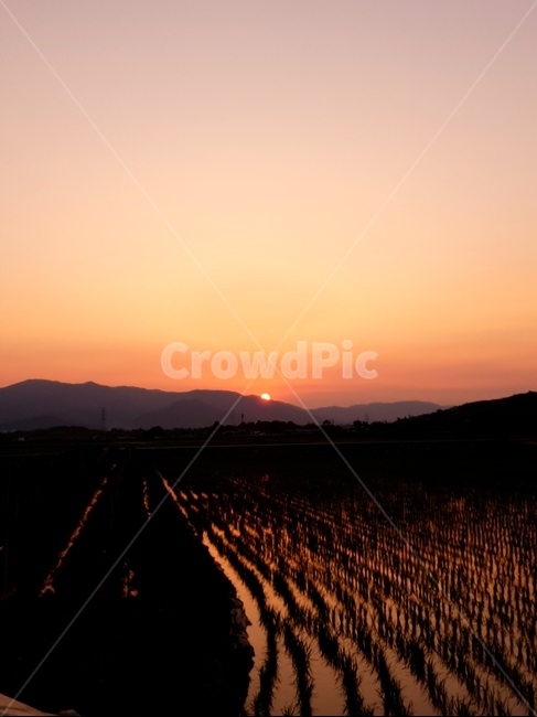 노을,감성,구름,따스한,색감,시골,시골,마을,풍경,landscape,country,rural,town