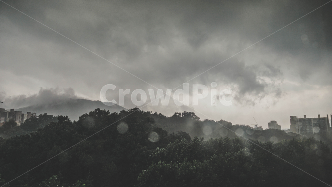 풍경,감성,흐림,비,자연,어둠,창문,분위기,자연,풍경,nature,landscape,흑백,모노톤,monochrome,black and white,weather,날씨,outdoors,옥외
