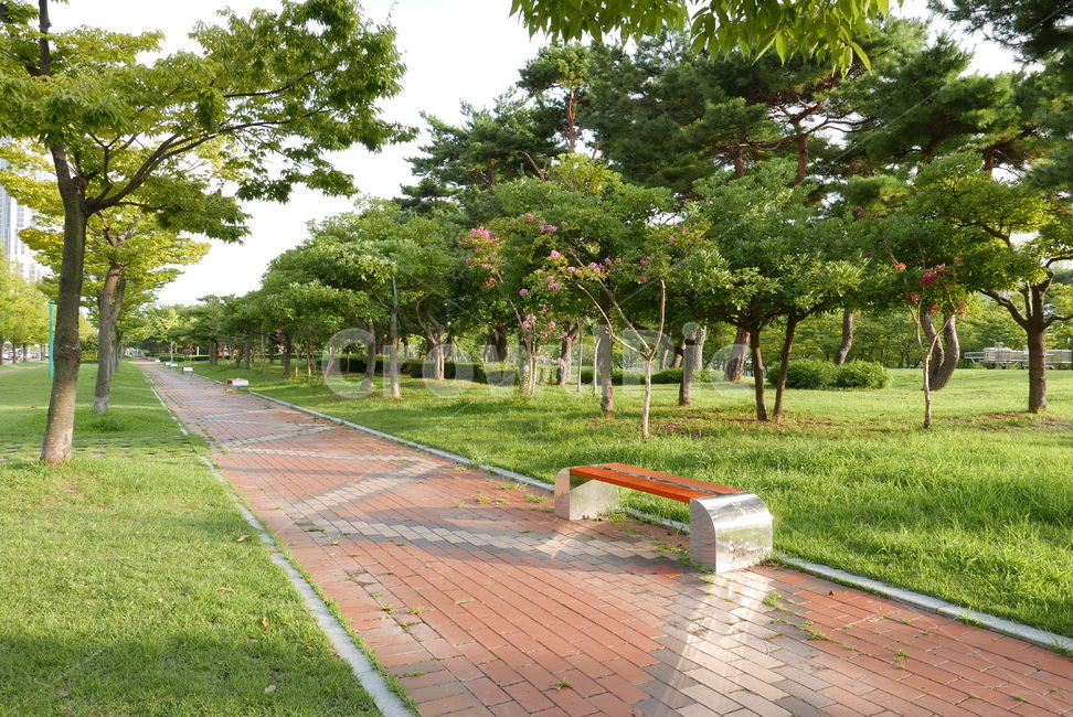 배경,풍경,자연,나무,야외,공원,환경,숲,의자,nature,park,tree