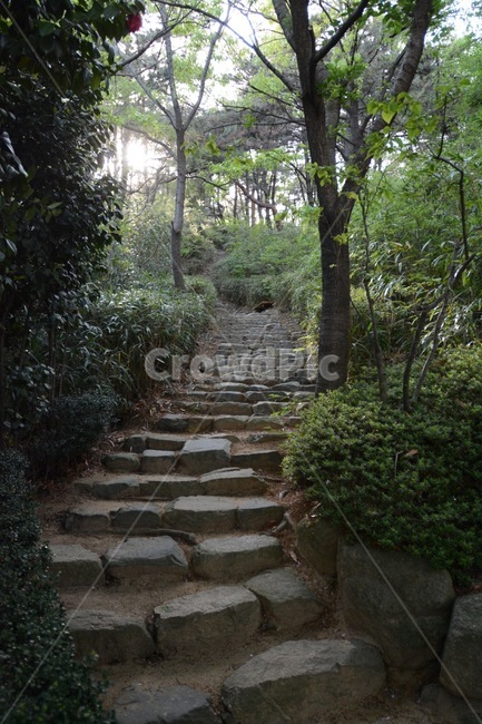 숲길,돌계단,숲속계단,오르막계단,오르막길,stonesteps,forestroad,자연,풍경,nature,landscape,flagstone,판석,path,통로,outdoors,옥외,slate,슬레이트