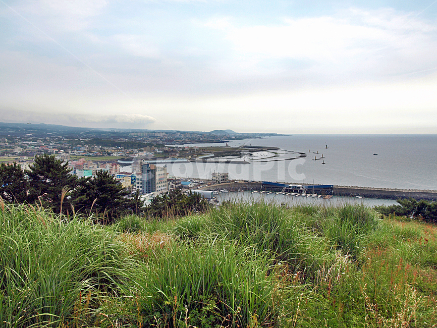 도두봉,오름,올레17코스,올레,제주,올레길,포구,바다,도시,풍경,city,landscape,한국도시풍경,한국도시경관,korea cityscape,nature,자연,outdoors,옥외,경치,land,땅,scenery,vegetation,초목,plant,식물,grass,잔디