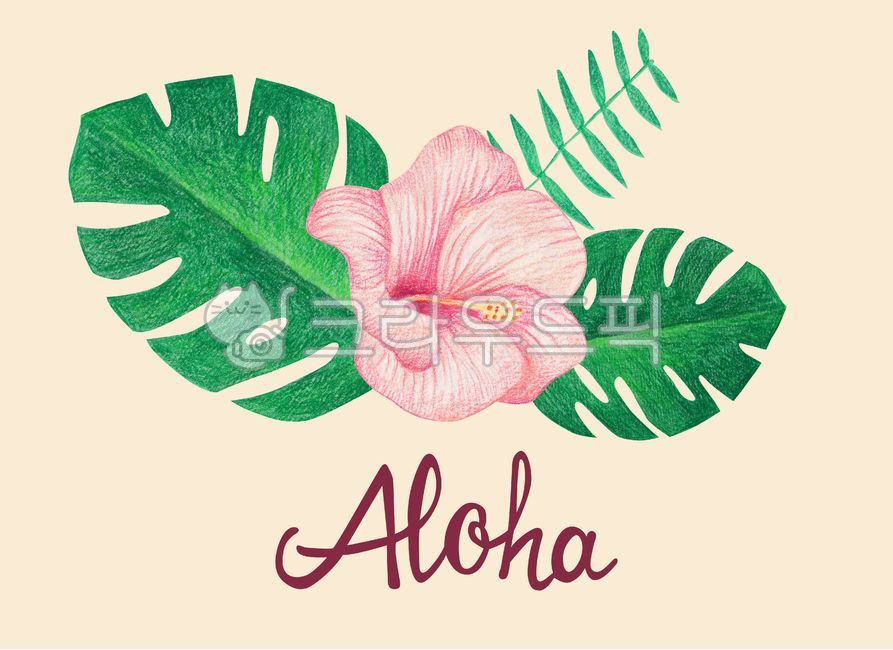 색연필,색연필화,수작업,일러스트,일러스트레이션,그림,드로잉,여름,시즌,계절,캘리그라피,캘리,영어,영문,트로피컬,열대,열대식물,히비스커스,몬스테라,야자수,나뭇잎,식물,포스터,background,colored,pencil,drawing,illustration,summer,season,poster,calligraphy,plant,nature,tropical,leaf,monstera,hibiscys,flower,floral,palm,그래픽,일러스트레이션,graphic,illustration