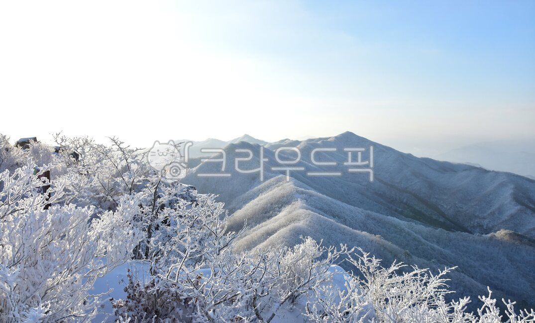 겨울,상고대,서리꽃,자연,설경,풍경,눈꽃,눈,눈보라,바람,겨울왕국,파란하늘,산,나뭇가지,겨울나무,민주지산,겨울산,배경,계절,winter,season,nature,landscape,snow