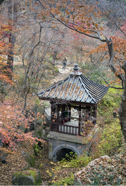 석파정,기와,가을,만추,단풍,가을,계절,fall,autumn,season,한국전통,한국문화,korean traditional,korean culture,건축물,건물외관,exterior,building,structure,architecture,construction