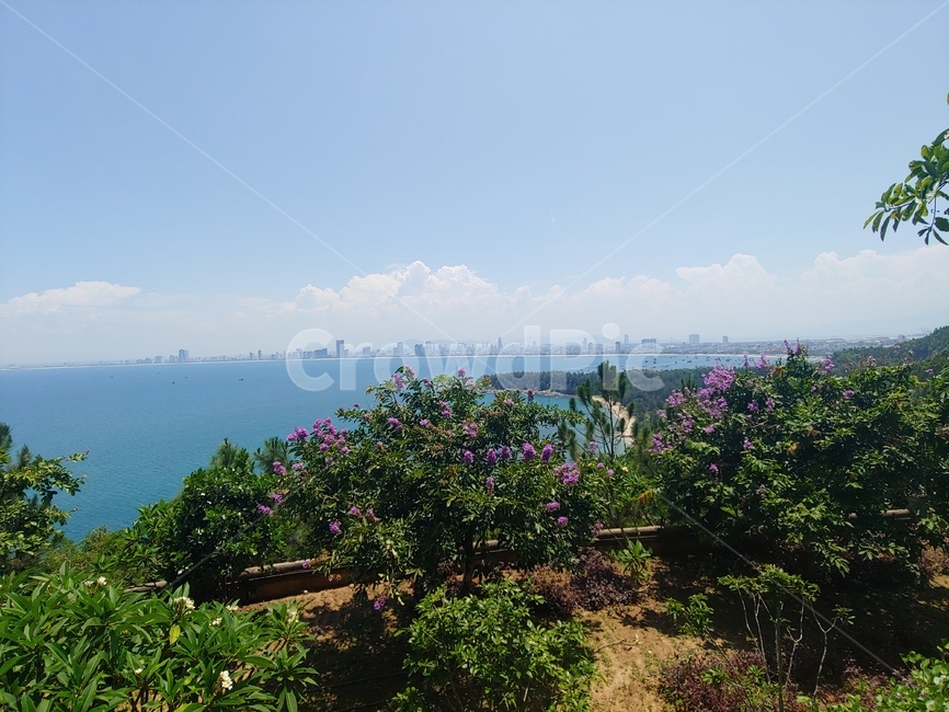 수평선,파란,하늘,바다,구름