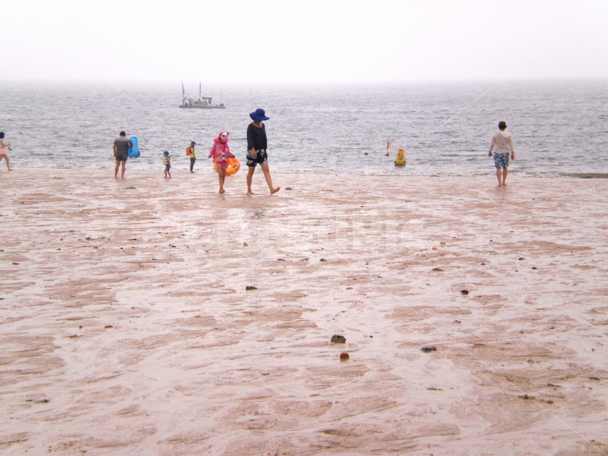대천해수욕장,휴가,가족,모래해변,여름,서해,피서,흐림,cloudy,날씨,weather,여행,관광,family,shorts,반바지,해변,바다,beach,sea