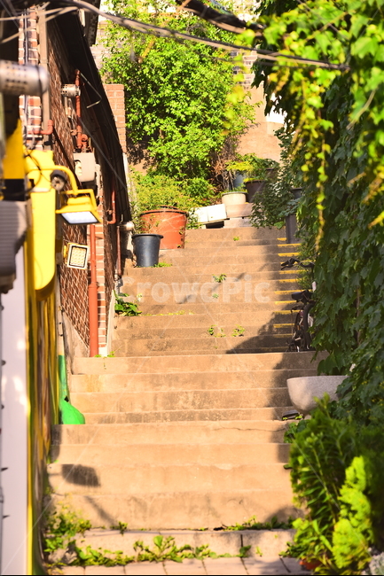 계단,언덕길,가파른,골목길,좁은,화분,식물,골목길,alley,flagstone,판석,outdoors,옥외