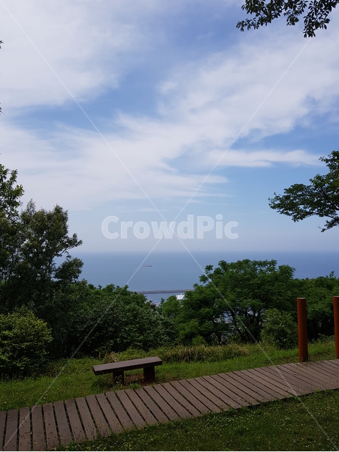 제주,사라봉,산책길,벤치,bench,자연,nature,하늘,sky,구름,cloud,나무,tree,숲,forest
