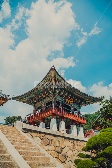 temple,architecture,건축물,건물,절,사찰,하늘,구름,sky,cloud,나무,tree,풍경,절풍경