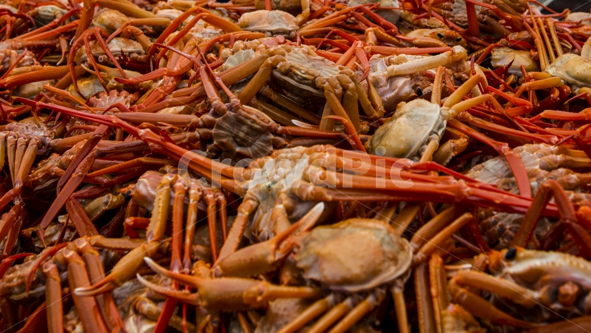 해물,홍게,요리,외식,게찜,음식,식재료,요리,food,cook,meal,dishes,food reserves,수산물,해산물,fishery products,seafood