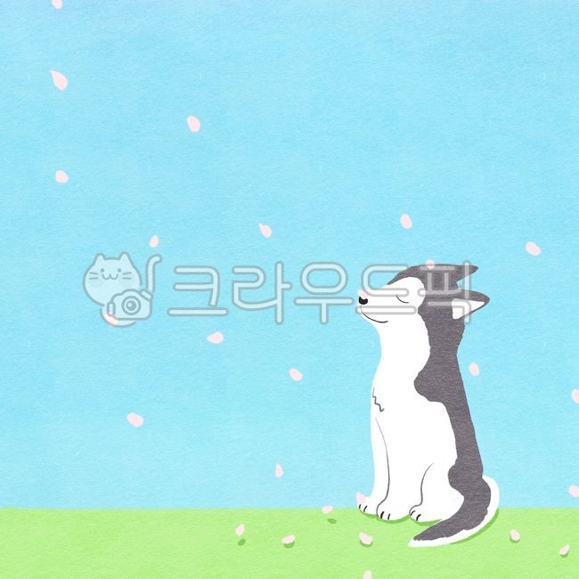 계절,꽃,꽃바람,바람,봄,꽃잎,벚꽃,개,강아지,시베리안허스키,그림,일러스트,season,flower,floralbreeze,wind,breeze,petal,floralleaf,cherryblossoms,puppy,dog,siberianhusky
