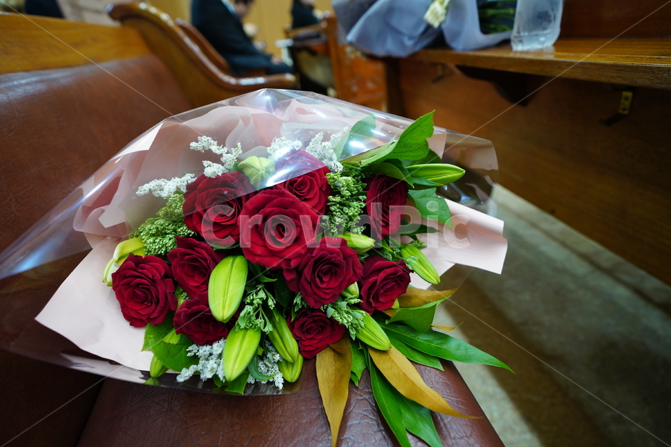 꽃,축하,꽃다발,선물,플라워,장미,빨강,red,flower,식물,색감,꽃,flower,기념일,축하,anniversary,congratulation,celebrate,celebration