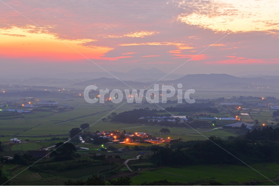 nature,자연,scenery,풍경,outdoors,옥외,landscape,경치,sunlight,햇빛,flare,플레어,light,빛,함평,밀재,밀재일출,아침,해돋이,여명