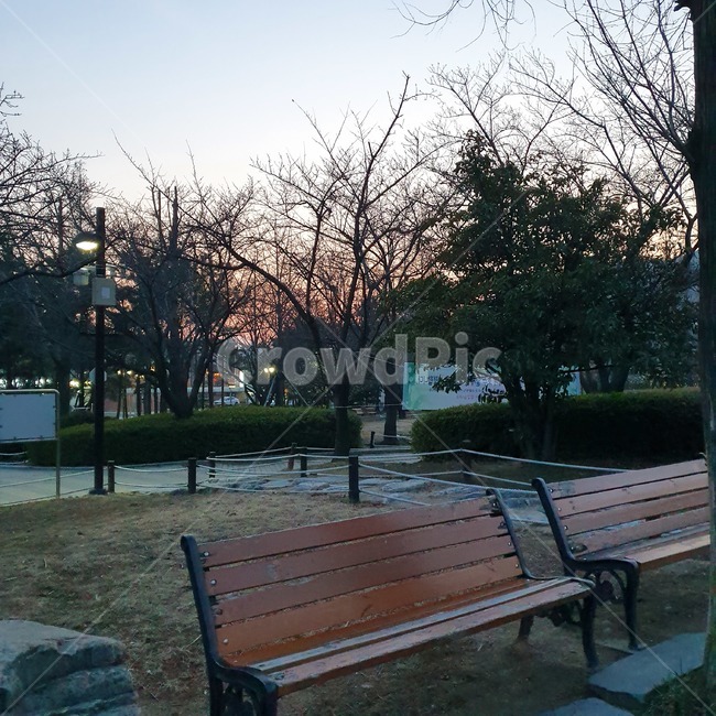 furniture,bench,벤치,tree,chair