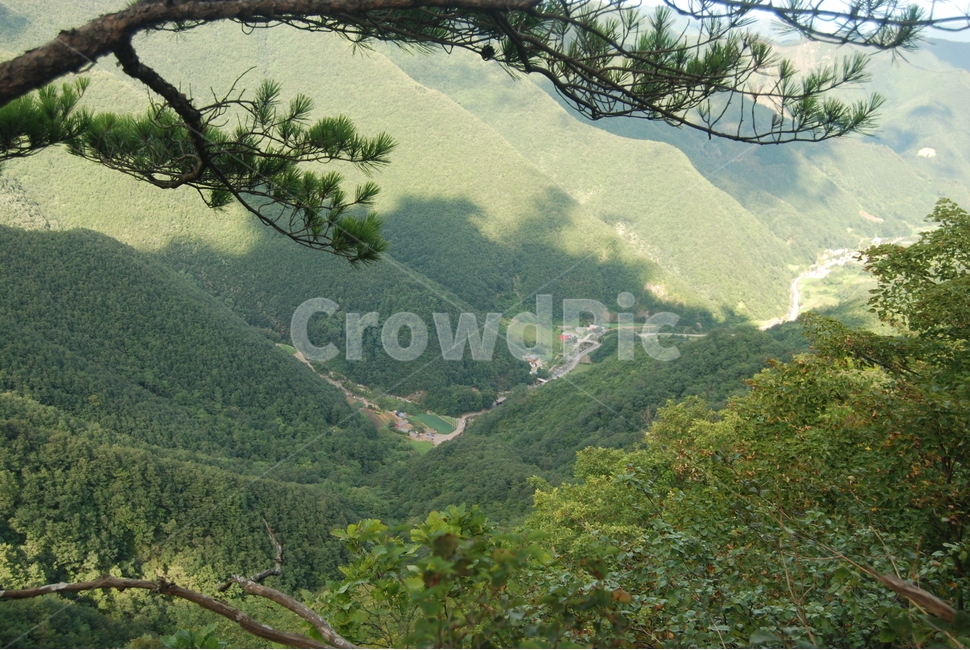 석병산,봄,백두대간,수목원,한국명산,자연,풍경,nature,landscape,한국자연풍경,한국자연경관,korea nature landscape,outdoors,옥외,mountain,산