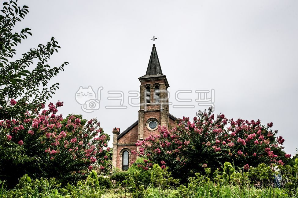 Cathedral,tree,crepe myrtle,landscape,building