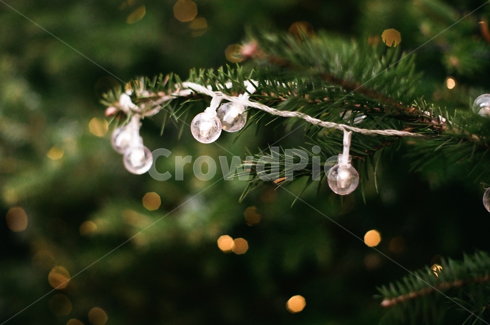크리스마스트리,전구,꼬마전구,크리스마스,소품,장식,lightbulb,interior,christmas,휴일,holiday,decoration,데코,겨울,계절,winter,season,메리크리스마스,성탄절,merry christmas,감성,sensible,feeling