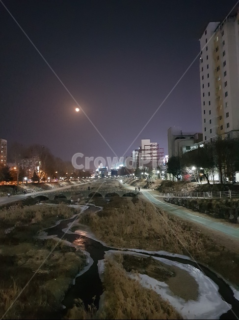 달,얼음물,갑천,갈대,아파트,야경,야경,밤,풍경,nightscape,night,landscape,도시,city,road,도로,intersection,교차로,asphalt,아스팔트