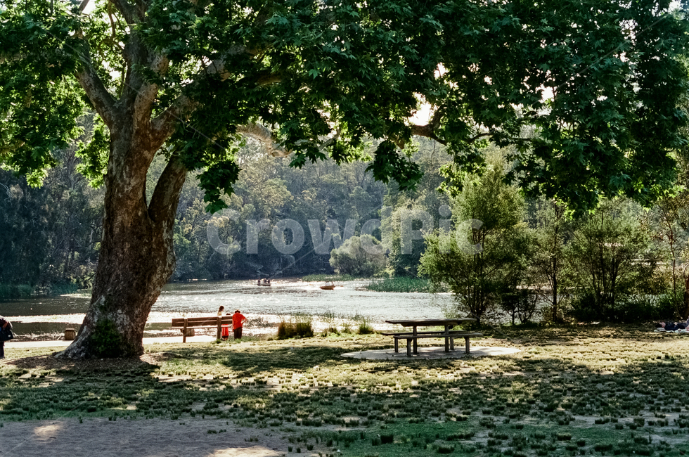 소풍,가족,공원,숲,호수,나무,잔디,녹지,잔디밭,평화로운,고요한,park,forest,tree,green,여름,봄,여유,여유로운,감성,감성사진,연못,필름사진,산책,자연,호주,내셔널파크
