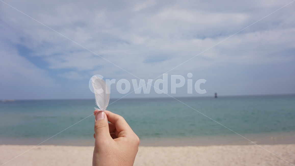 희망,하늘,바다,깃털,구름,소망