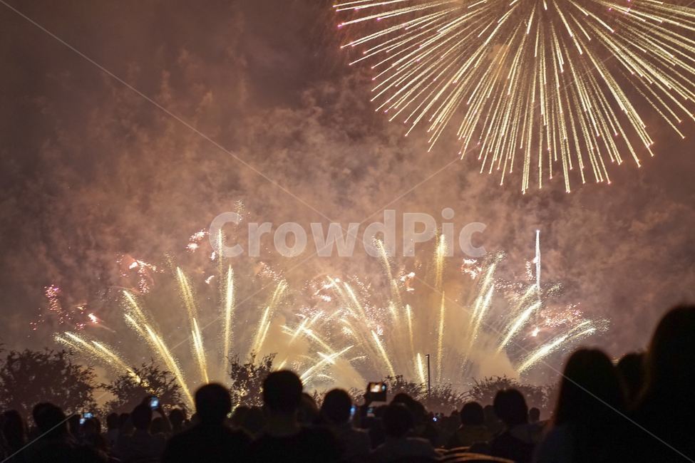 축제,불꽃놀이,불꽃축제,하늘,폭죽,야경,빛,사람들,행사,야경,밤,풍경,nightscape,night,landscape,사람들,대중,군중,other people,crowd,축제,행사,festival,carnival,event,nature,자연,outdoors,옥외