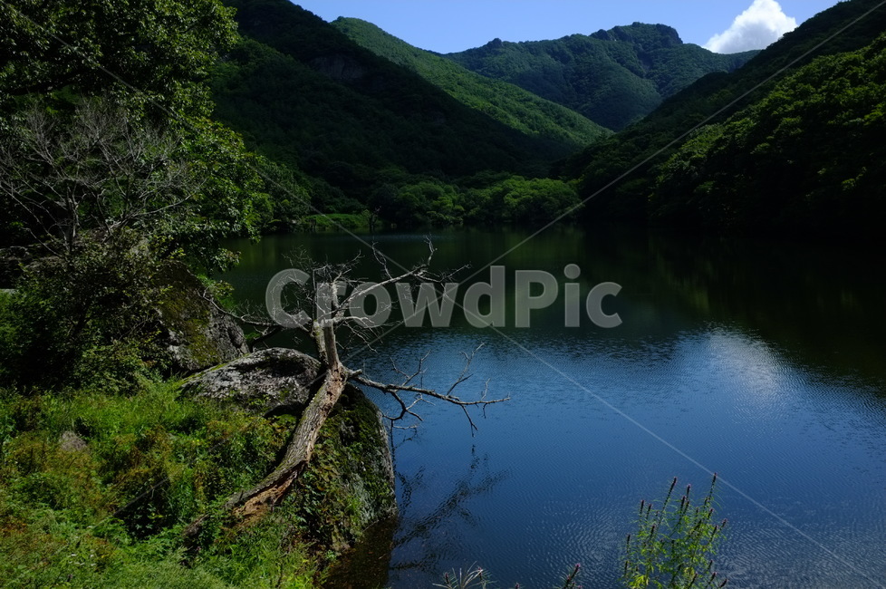 nature,자연,water,주산지,jusanji,청송,주왕산