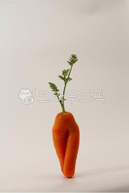 당근,채소,비건식품,생것,발간색,건강식품,음식재료,당근잎,수확,스튜디오