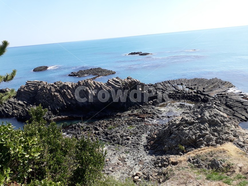 바다,나무,바위,하늘,주상절리,동해,물,sea,tree,stone,water,자연,풍경,경치,해안선,대양,columnarjoint,view,shoreline,ocean