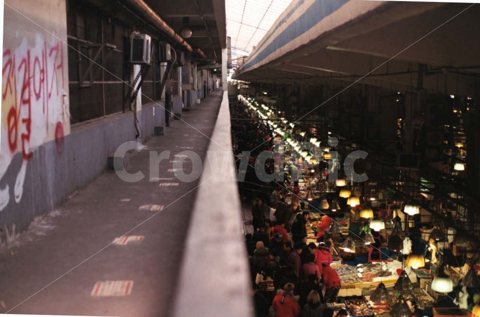 필름사진,노량진수산시장,노량진,일상,시장,스냅,서울,대비,시장,마트,마켓,market,mart,market place,감성,sensible,feeling