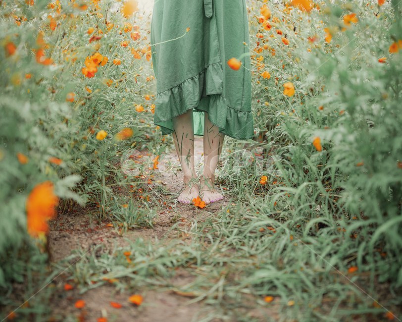 감성사진,가을,코스모스,흔적,맨발,가을,계절,fall,autumn,season,사람,인물,인간,human,person,여성,여자,woman,female,lady,감성,sensible,feeling