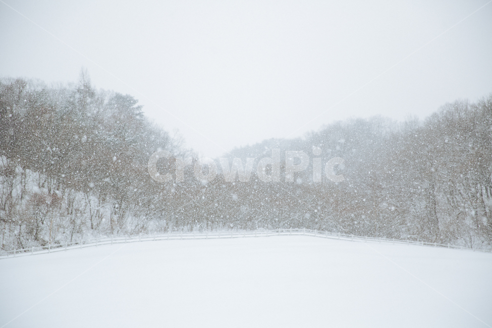 겨울,눈,풍경,감성,스냅,겨울,계절,winter,season,자연,풍경,nature,landscape,outdoors,옥외,snow,storm,폭풍,blizzard,눈보라