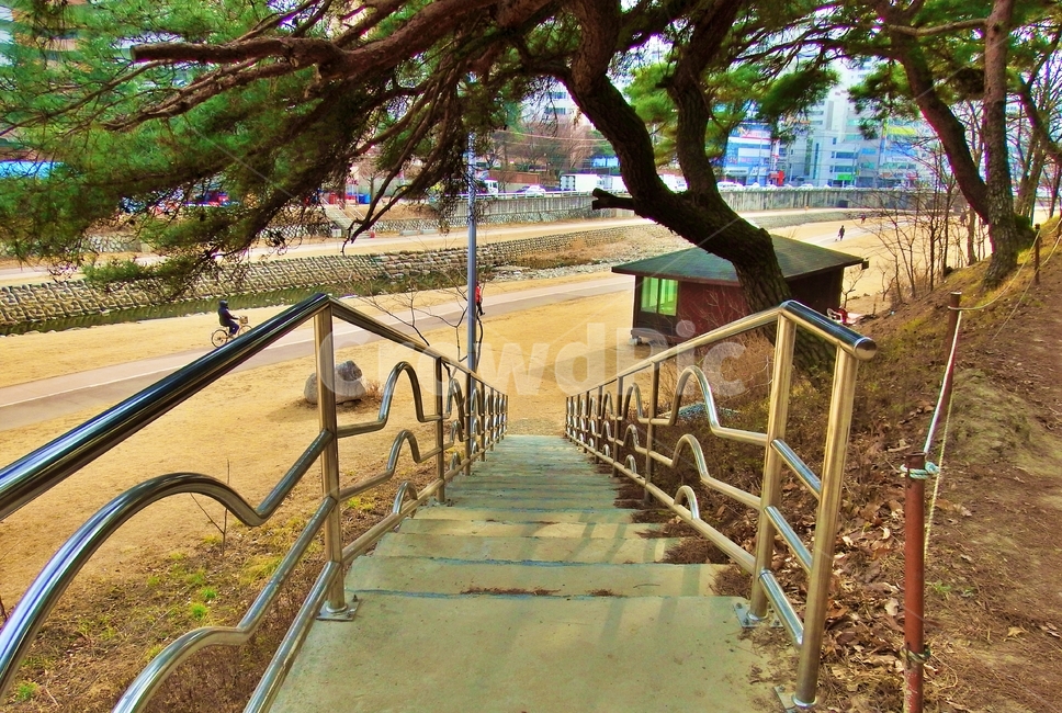 계단,나무,산책,돌계단,길