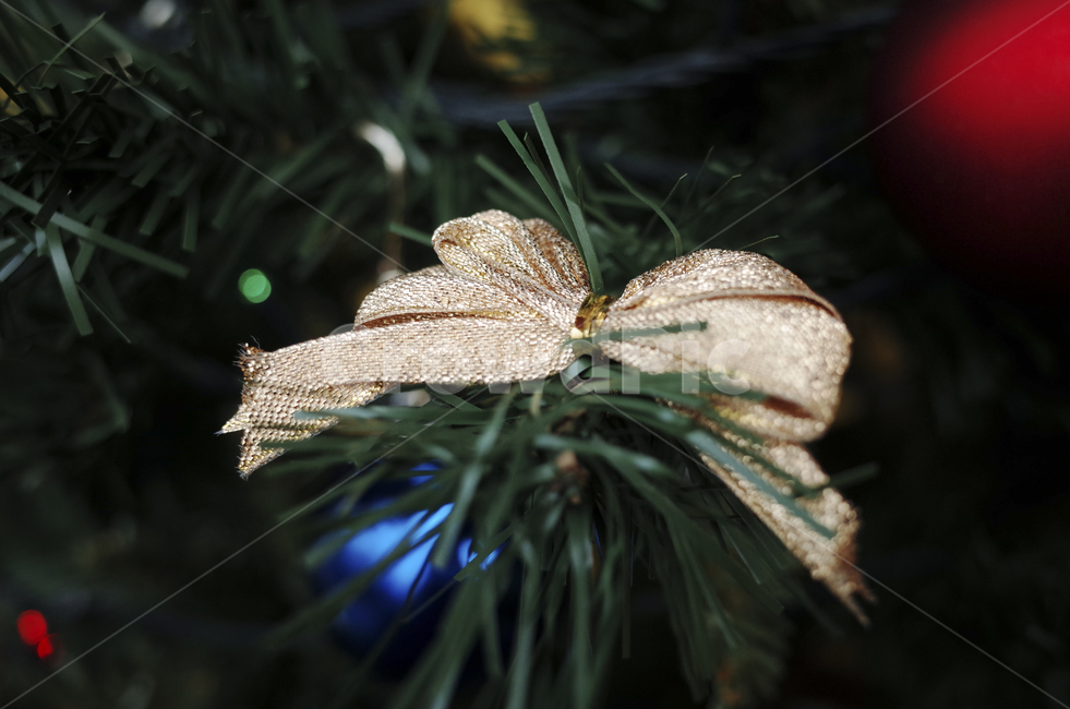 leaf,잎,plant,식물,tree,나무,리본,장식,트리,크리스마스트리,christmas,christmastree,gold,금색,금색리본