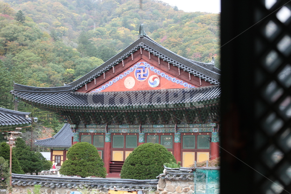 불교,사찰,한옥,전통,기와,월정사,자연,building,건물,architecture,건축물