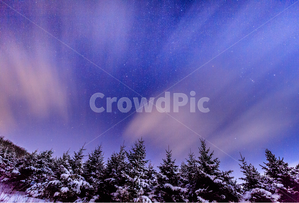 선자령,겨울선자령,풍차,눈꽃,겨울,대관령,구상나무,별,겨울,계절,winter,season,자연,풍경,nature,landscape,야경,밤,nightscape,night,outdoors,옥외
