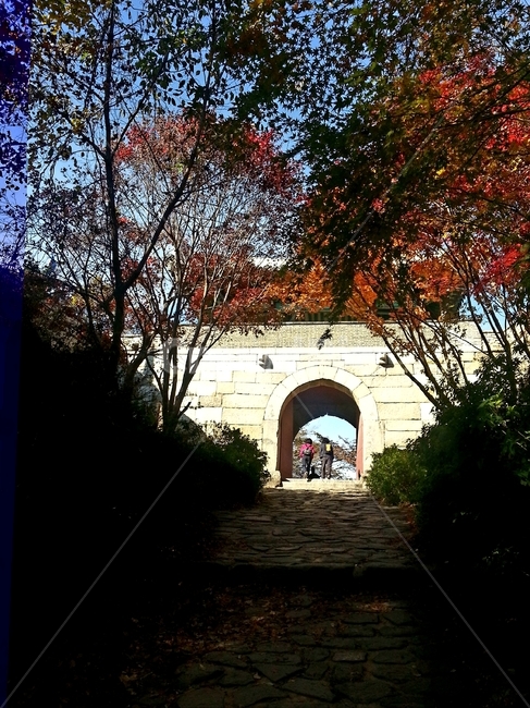 단풍,산,가을,등산,maple,노랑,부산,금정산,나무,단풍잎,자연,풍경,공원,숲,mountain,autumn,fall,mountainclimbing,tree,mapleleaf,nature,view,scenery,park,forest