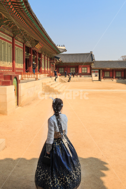 한복,여성,경복궁,궁전,고궁,궁궐,과거,현재,현대,시간여행,몽환적인,댕기머리,아름다운,우아한,자태,여자,여인,그림자,지붕,기와,기와지붕,단청,무늬,문양,문화유산,한국전통,한국문화,korean traditional,korean culture,한복,한국전통의상,hanbok,korean traditional clothes,랜드마크,landmark,tourist attraction,한국랜드마크,한국관광지,한국명소,korea landmark,korea tourist attraction,사람,인물,인간,human,person,여성,여자,woman,female,lady