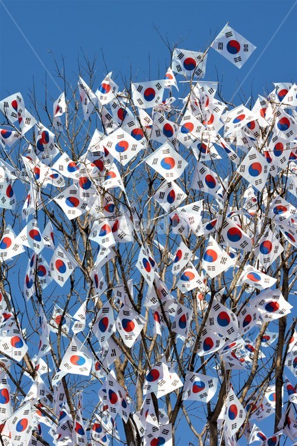 태극기,현충일,삼일절,광복절,국기,한국,flag,nationalflag,koreannationalflag,대한민국,31운동,깃발,독립,대한독립만세,independenceday,independence,independent,기념일,태극기나무,축하,기념,celebration,event,행사,게양,ceremony,심볼,상징,symbol,anniversary,공휴일,국경일,휘날리는,펄럭이는,삼일운동,애국,호국,보훈