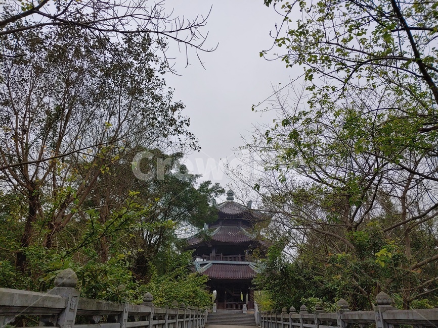 하노이,닌빈,바이딘사원,불교,대형사찰,불교순례자,불교복합단지,호앙롱강,바라우언덕,사원,사찰