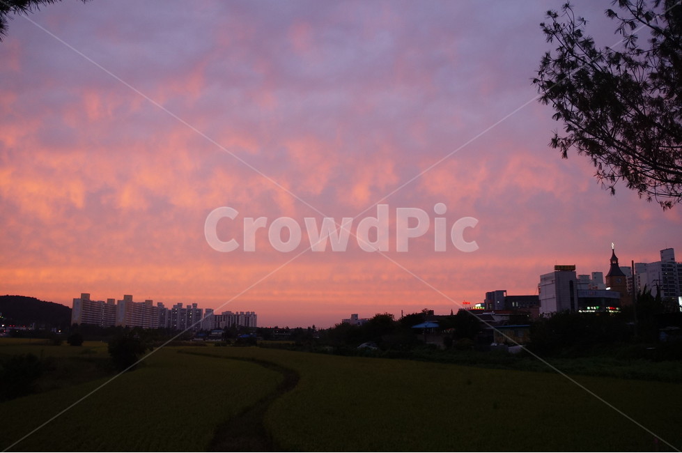 자연,nature,석양,하늘,sky,빨간색,붉은하늘,붉은노을,들판,outdoor,들,자연,풍경,nature,landscape,outdoors,옥외,grass,잔디,plant,식물