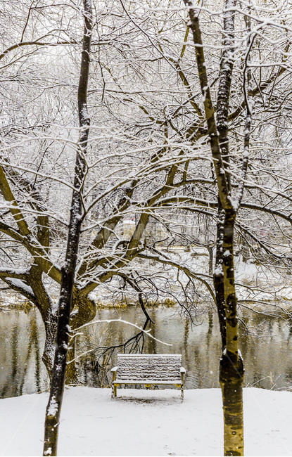 반영,호수가,벤치,설경,풍경,감성,겨울,계절,winter,season,자연,풍경,nature,landscape,outdoors,옥외
