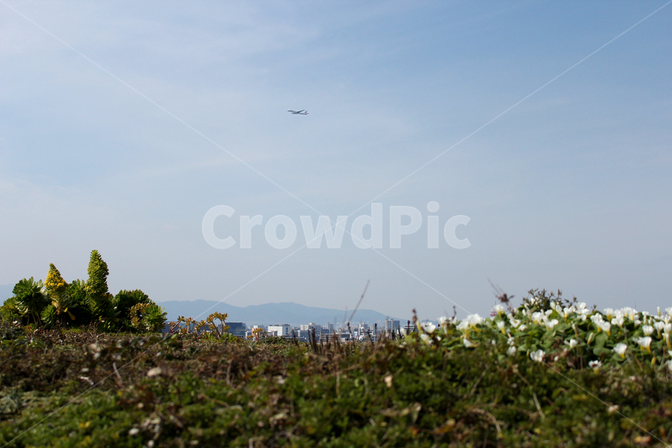 여행,비행기,하늘,풍경,휴가,해외여행,airplane,sky,travel,여백,배경,자연,풍경,nature,landscape,여행,휴가,traveling,vacation,trip,교통,교통수단,traffic,transportation,adventure,모험,leisure activities,레저 활동,flying,나는,animal,동물,bird,새
